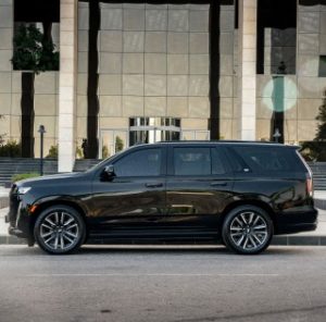 imgi_45_6730bd4edc98f8a3e487363d_cta-image-2